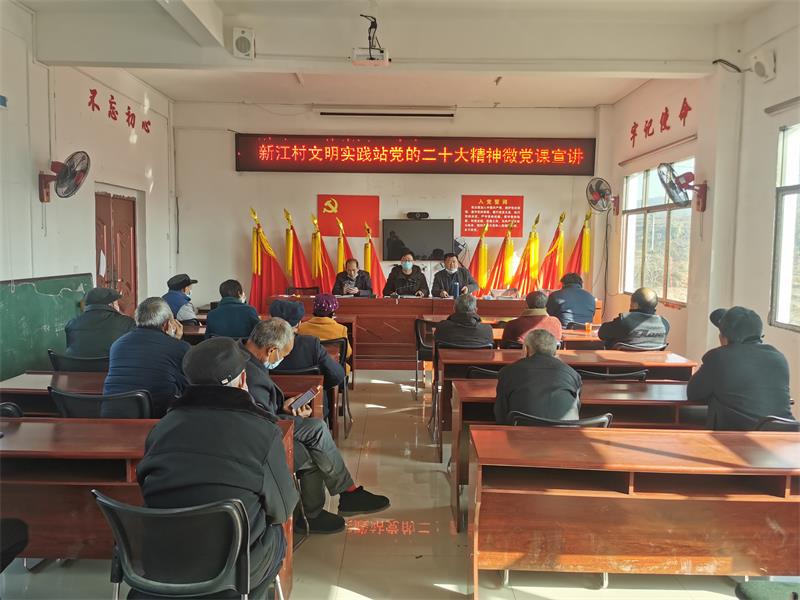 新宁县丰田乡新江村文明实践站开展党的二十大精神宣讲活动