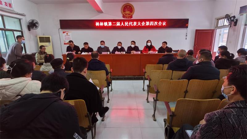 洞口县杨林镇第二届人民代表大会第四次会议胜利闭幕