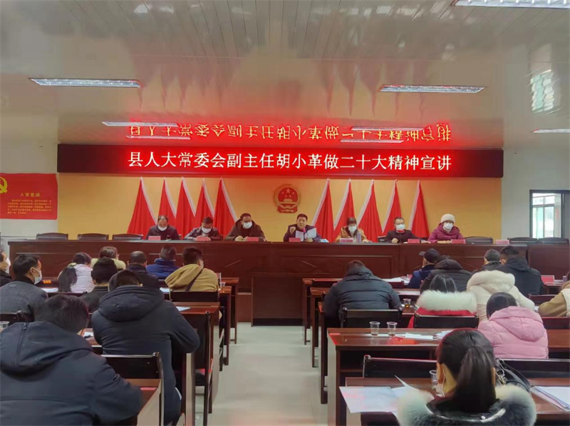 洞口县江口镇召开第十九届人民代表大会第四次会议