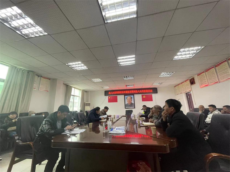 刘绍良一行到回龙寺镇走访慰问县人大代表