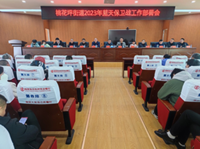 隆回县桃花坪街道召开2023年蓝天保卫战工作部署会