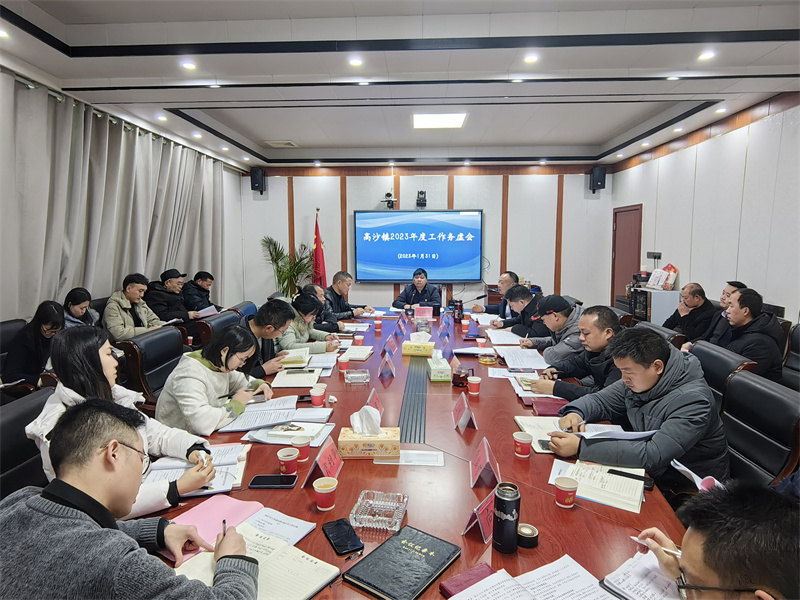 洞口县高沙镇召开2023年度工作务虚会