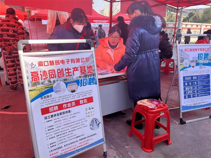 洞口县高沙镇开展“春风行动”专场招聘会