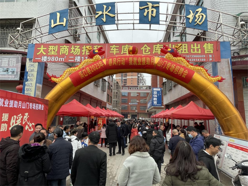 洞口县2023年“春风行动暨就业援助月”山门专场招聘会圆满举行