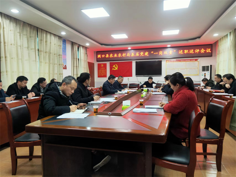 洞口县农业农村局召开2022年度党组班子成员履行基层党建“一岗双责”、党组织书记抓基层党建工作述职评议大会