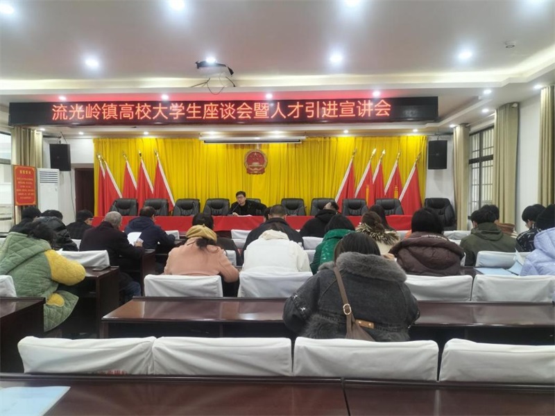 邵东市流光岭镇举办高校大学生座谈会