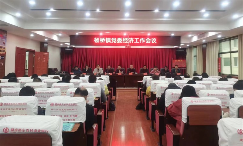 邵东市杨桥镇召开2023年度经济工作会议