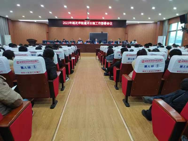隆回县桃花坪街道2023年河长制工作部署会召开