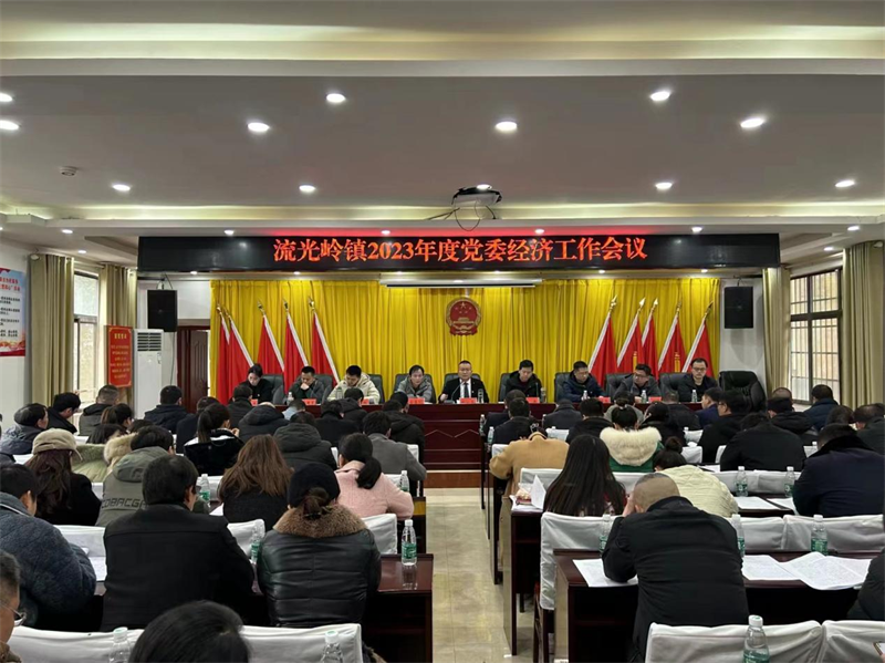 邵东市流光岭镇召开2023年度经济工作会议
