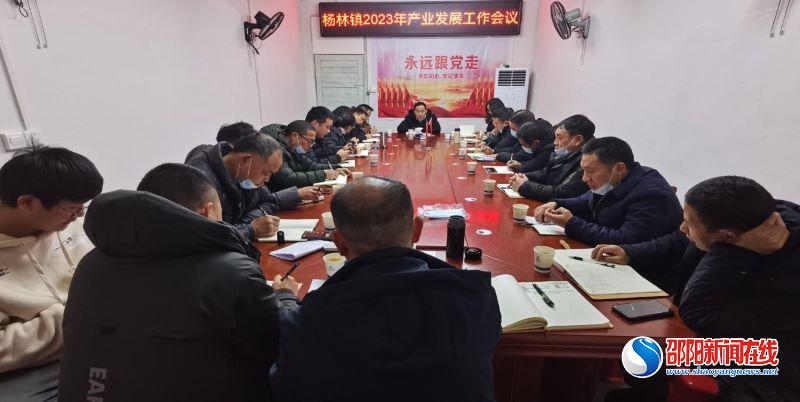 洞口县杨林镇召开乡村振兴产业发展工作会议