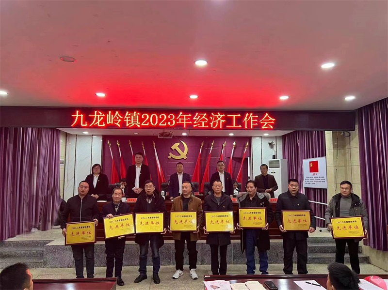 邵东市九龙岭镇召开2023年经济工作会议