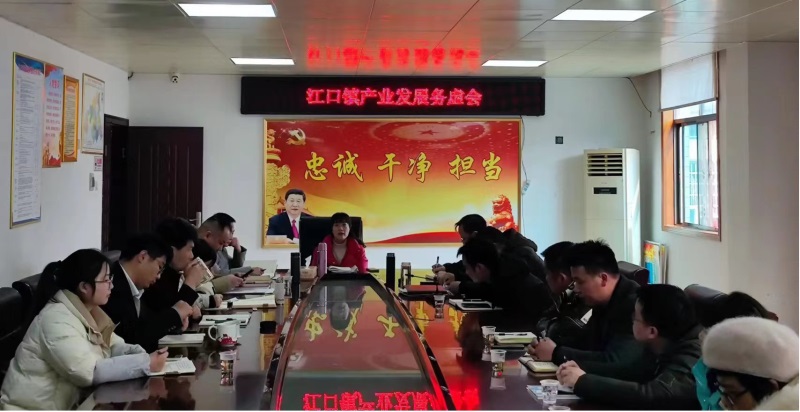 洞口县江口镇召开2023年产业发展务虚会