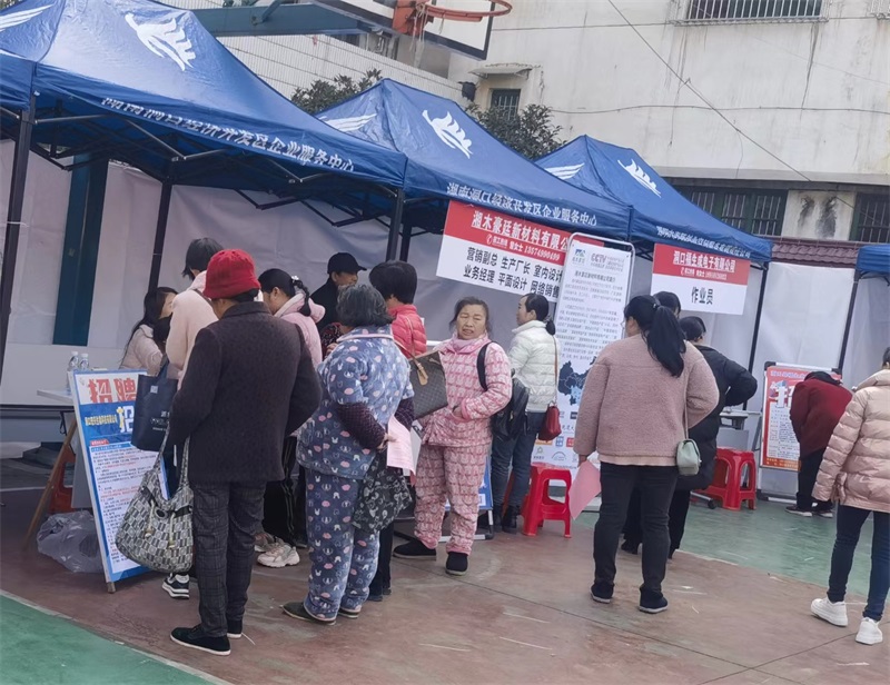 洞口县毓兰镇举办“春风行动暨就业援助月”活动
