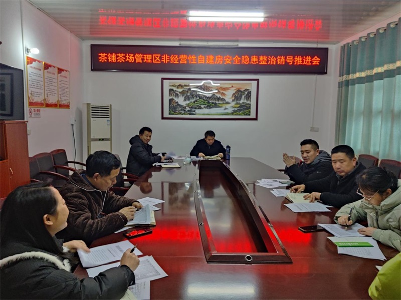 洞口县茶铺茶场管理区召开非经营性自建房安全隐患整治销号推进会