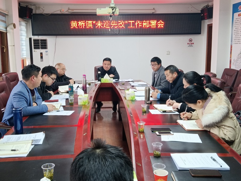 洞口县黄桥镇：提升“未巡先改”质效，持续改善民生福祉