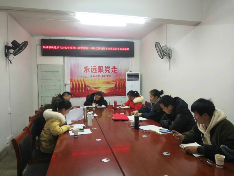 洞口县杨林镇召开镇党委会议