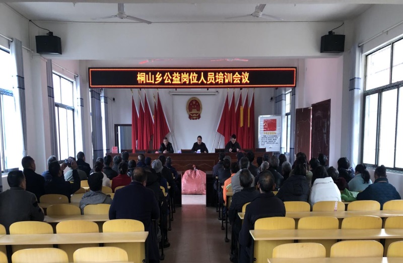 洞口县桐山乡：加强“四员”联动，共创“六零”乡村