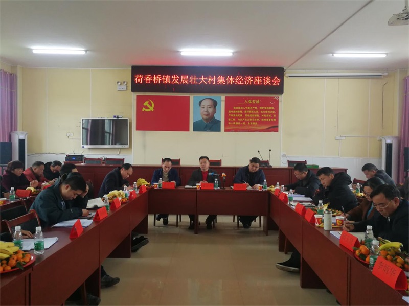 隆回县荷香桥镇召开发展壮大村级集体经济座谈会