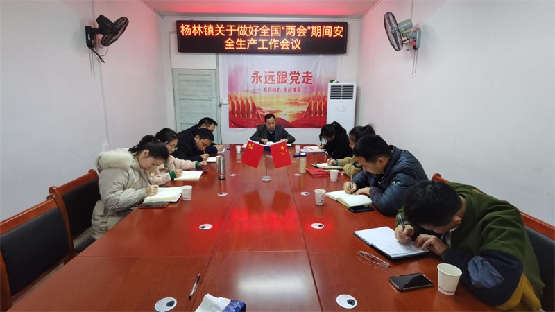 洞口县杨林镇紧抓“两会”期间安全生产工作不放松