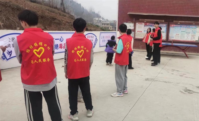 洞口县杨林镇锁口村：“党建+志愿服务”  打造青少年健康成长新阵地