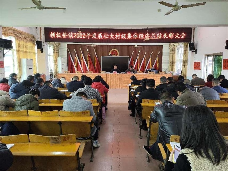 隆回县横板桥镇召开2022年度发展壮大村级集体经济总结表彰大会