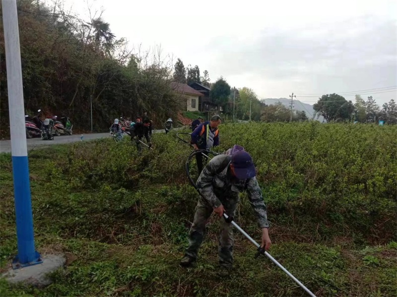 洞口县大屋瑶族乡新峰村：谋划布局早 产业发展忙