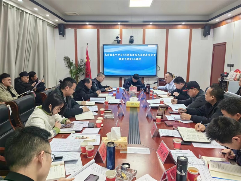 洞口县高沙镇开展《湖南省居民自建房安全管理若干规定》精神集中学习