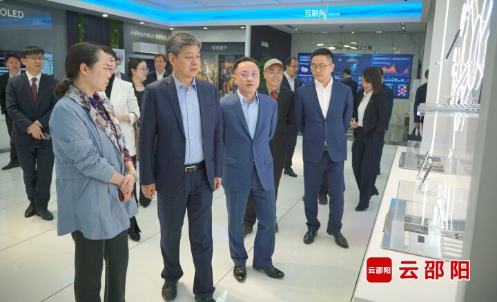 严华带队赴粤港澳大湾区开展招商引资活动
