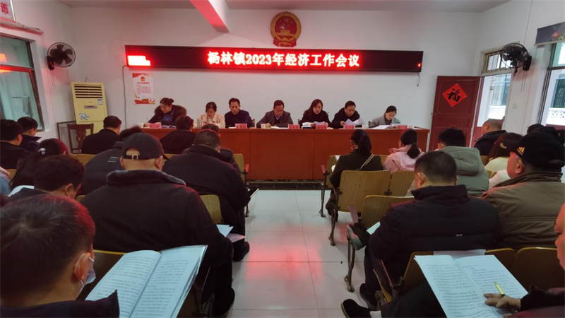 洞口县杨林镇召开2023年经济工作会议