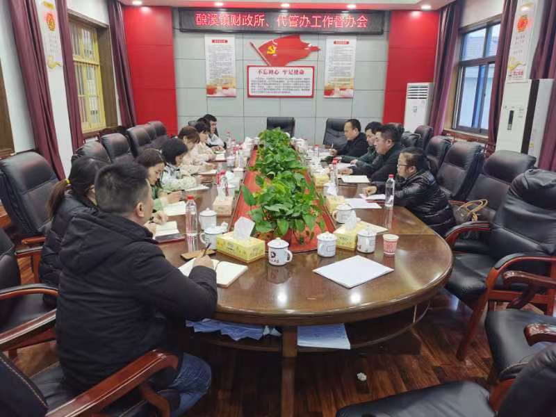 新邵县财政局到酿溪镇财政所督办财政工作