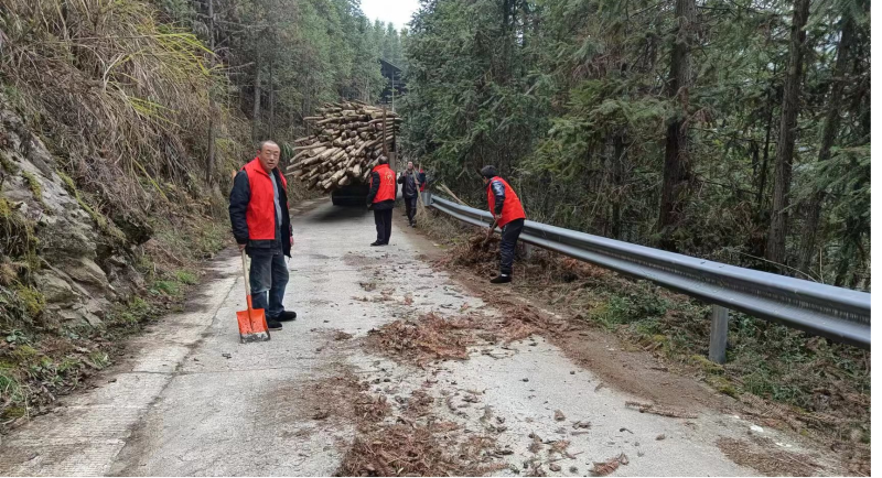 洞口县桐山乡蒲溪村组织志愿者清理路面