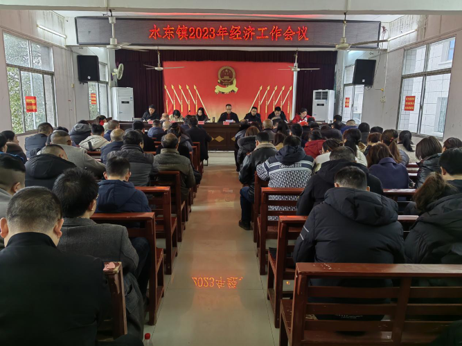 洞口县水东镇召开2023年经济工作会议