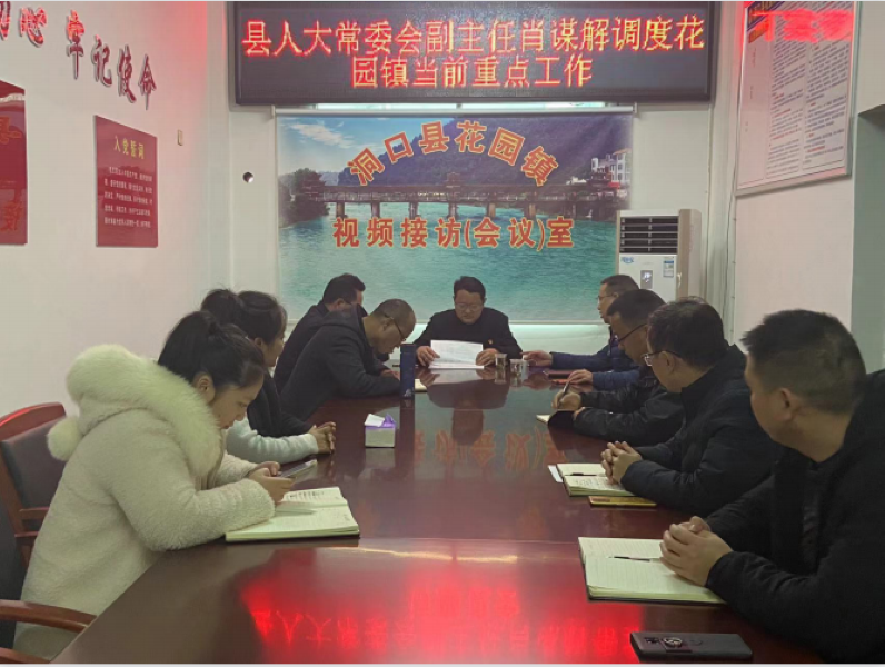 洞口县县人大常委会调度花园镇当前重点工作