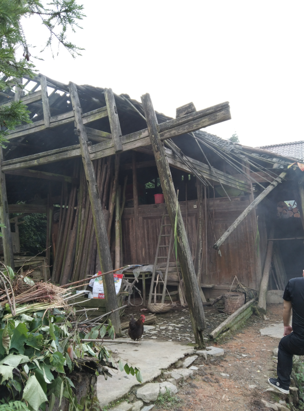 洞口县长塘瑶族乡拆除危房，加强自建房安全排查整治