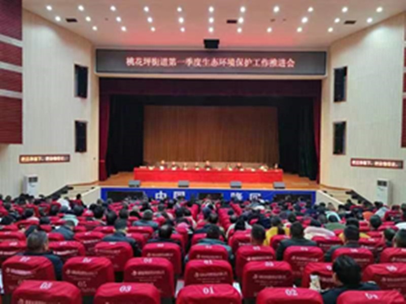 隆回县桃花坪街道召开第一季度生态环境保护工作推进会
