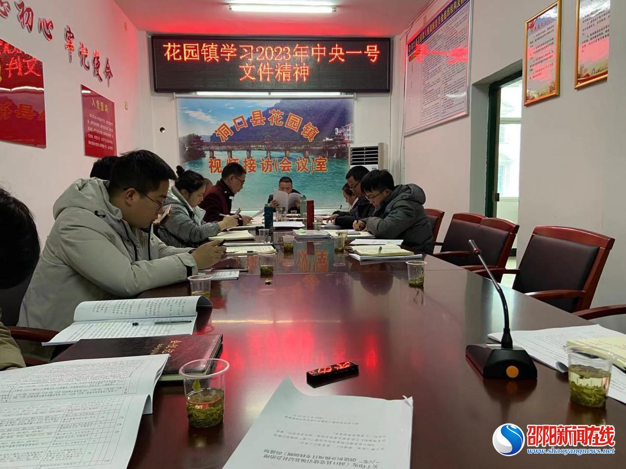 洞口县花园镇：学习中央一号文件 推动乡村全面振兴