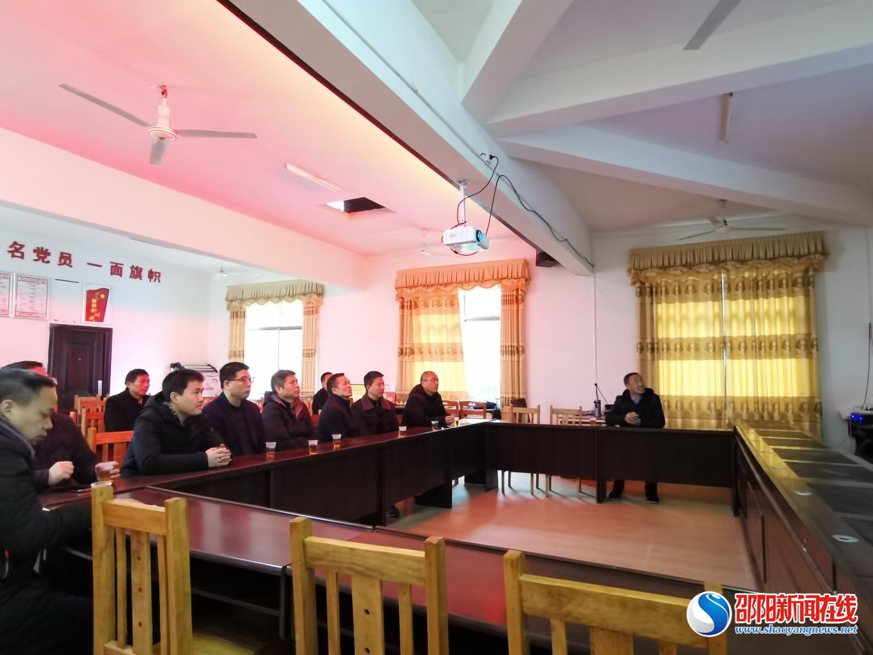 洞口县委组织部到桐山乡调研基层党建及村级集体经济