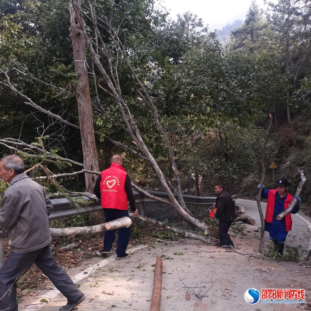 洞口县桐山乡：支部引领聚合力 党员先行显担当