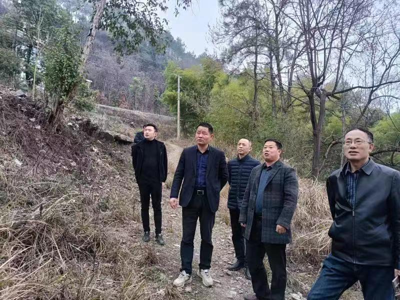 邵阳市自然资源和规划局到隆回县督查指导汛期地质灾害防治工作