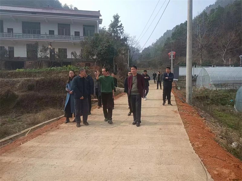 新邵县潭溪镇：“未巡先改”助力乡村振兴