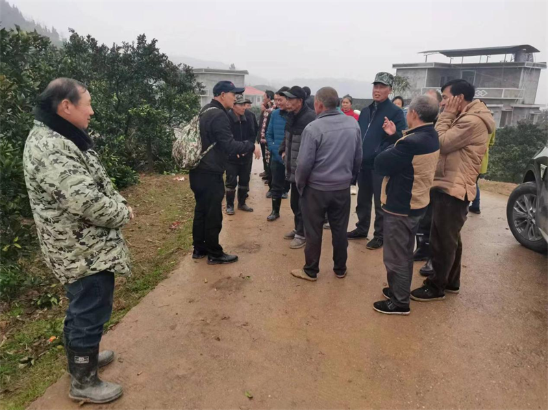 新宁县高桥镇：小脐橙 大情怀