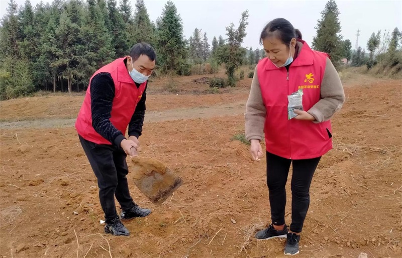 洞口县茶铺茶场管理区：“早谋划、早动手” 新增耕地“春苗”行动进行时