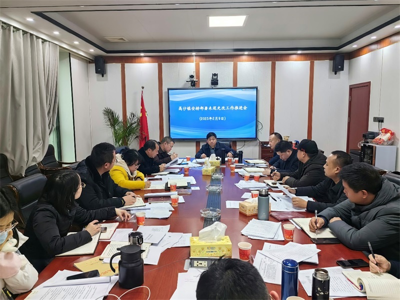洞口县高沙镇：落实“未巡先改”措施 助力“美丽高沙”建设