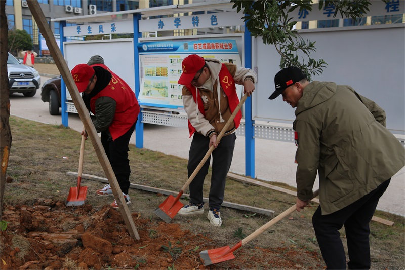 新邵县税务局税费宣教基地志愿植树活动