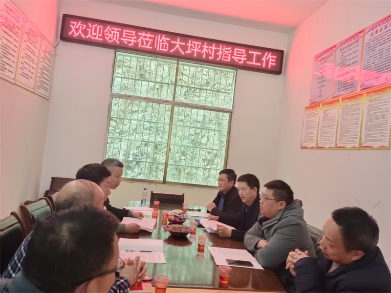 洞口县委组织部到渣坪乡大坪村调研工作