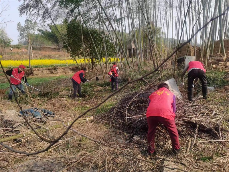 新邵县小塘镇：加强人居环境整治，建设宜居和美乡村