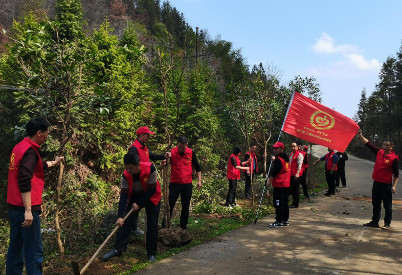 新宁县应急管理局：植树造林助力乡村振兴
