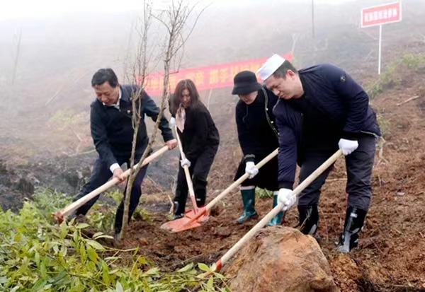 邵东市组织千余党员干部开展义务植树活动
