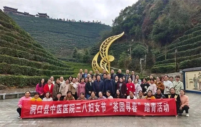 洞口县中医医院组织三八妇女节“踏青寻茶”春游活动