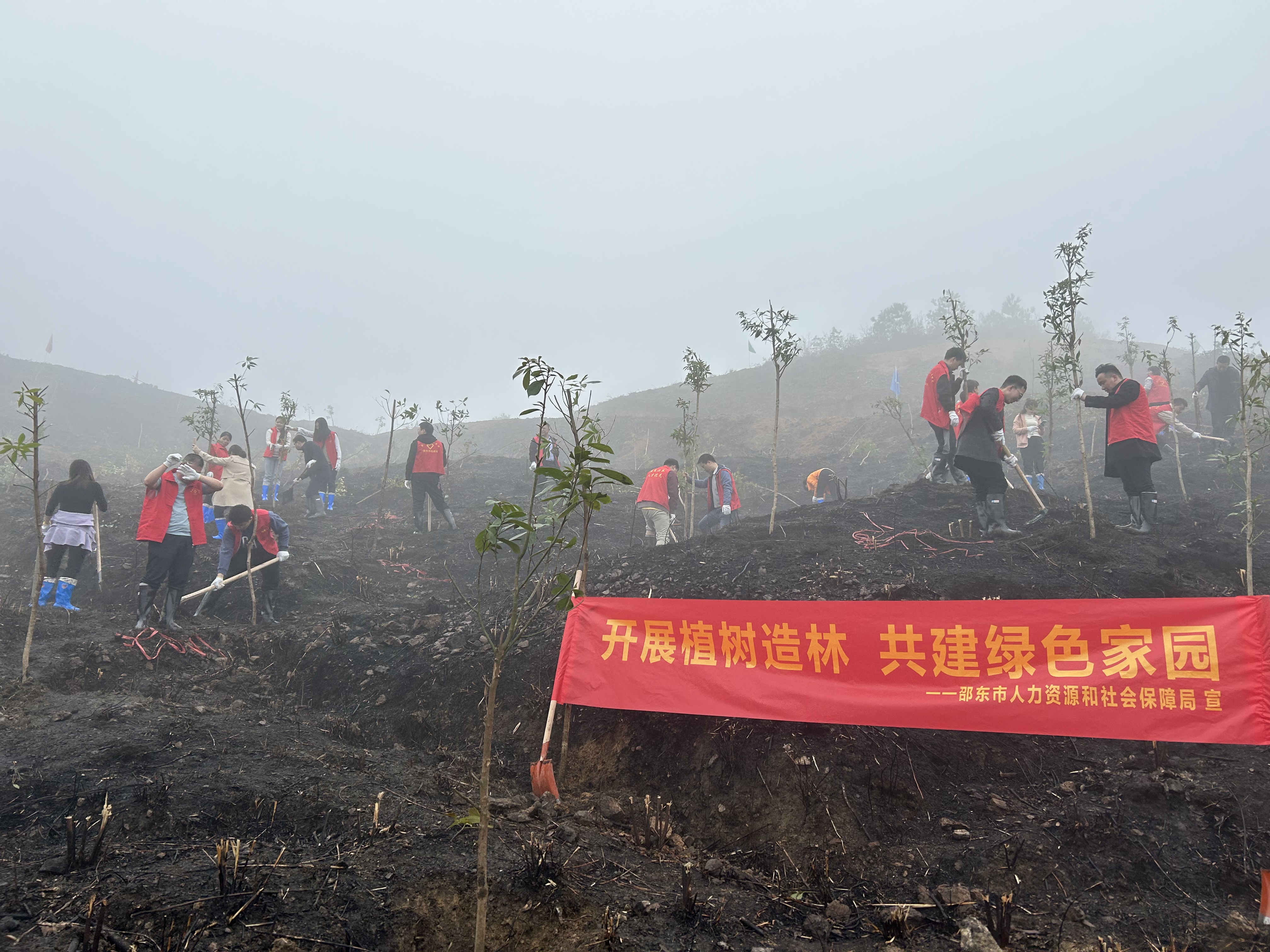 邵东市人社局开展2023年义务植树活动